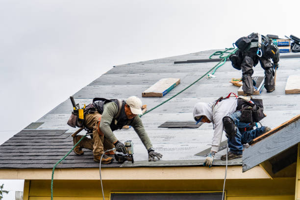 Professional Gutter Installation technician working in Pinecliffe, CO
